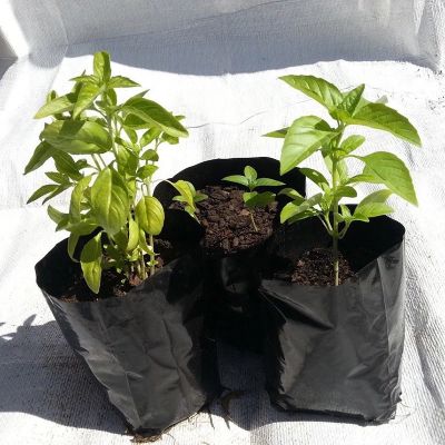 BRIJWASI PLASTIC PVT. LTD.